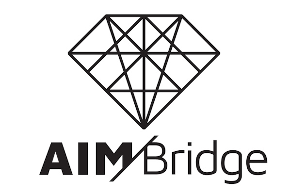 AIM Bridge Expert Management Interface